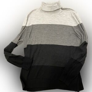 Express Merino Wool color block ombré turtle neck sweater size XL